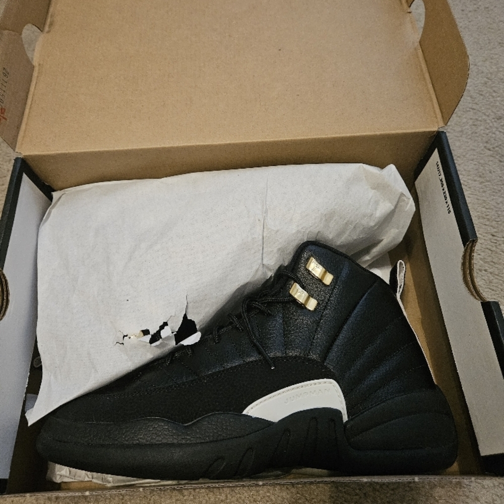 Air Jordan Retro 12